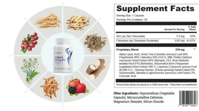 AquaSculpt Reviews August 2025 {UPDATED}: Ice Water Hack 4 AquaSculpt Ingredients