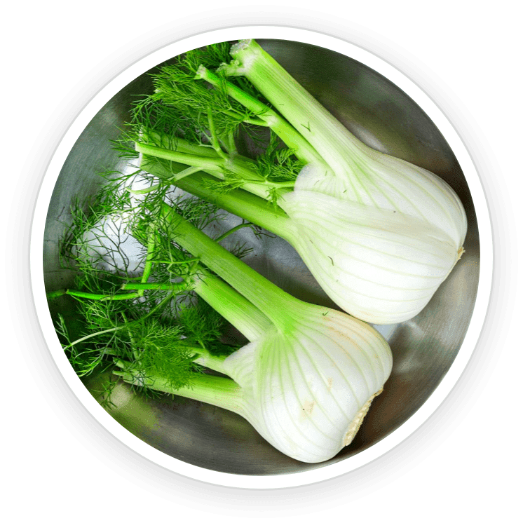 PrimeBiome Reviews. Buy Online Today On Dicount From Website. 6 Fennel