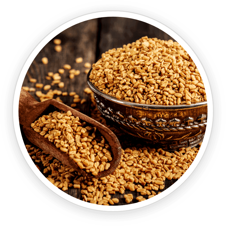 PrimeBiome Reviews. Buy Online Today On Dicount From Website. 8 Fenugreek