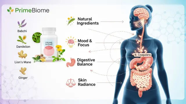Blue Antioxidant For Skin Reviews 2025: Prime Biome Gummies 4 How Does Prime Biome Work