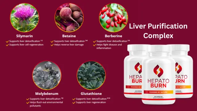 Liver Purification Complex Ingredients