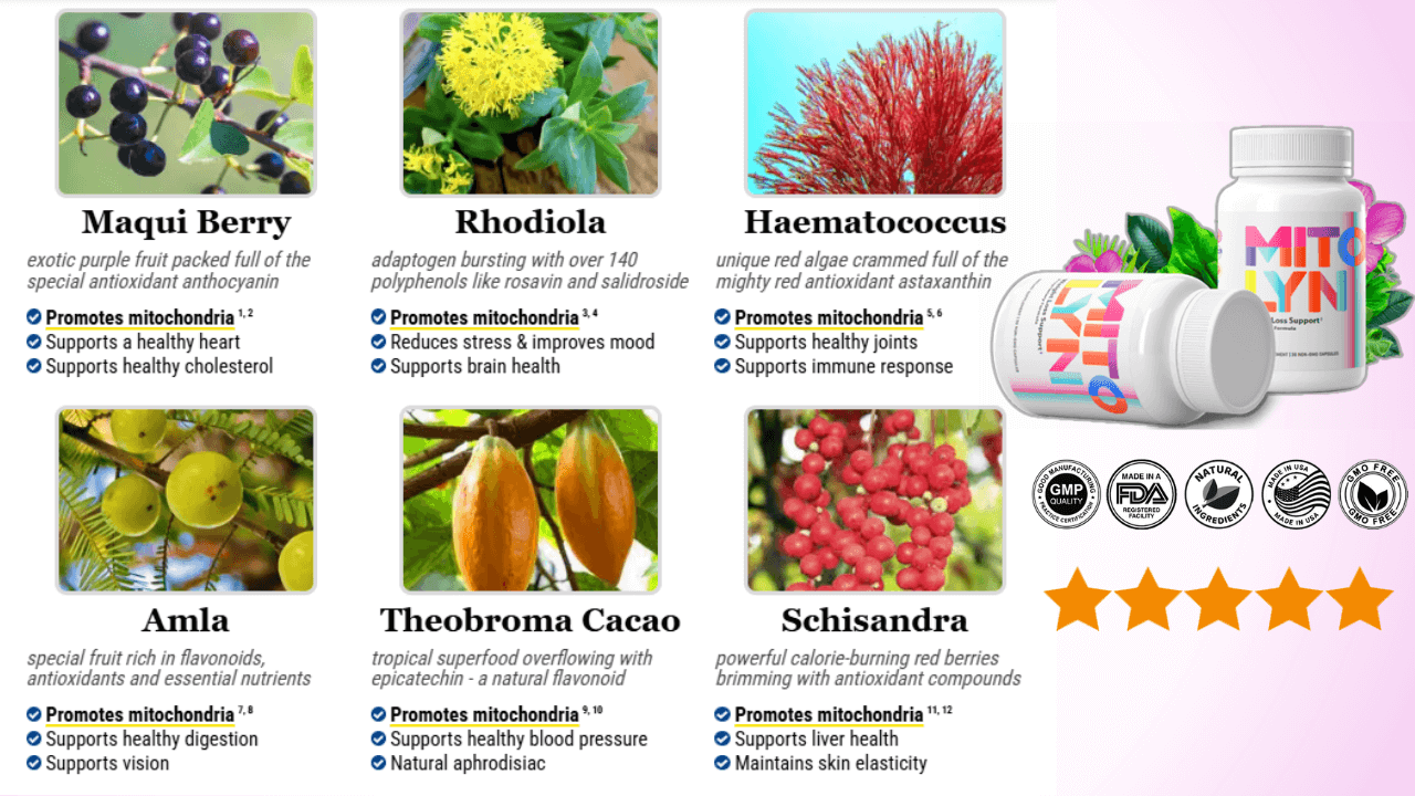 Mitolyn Ingredients