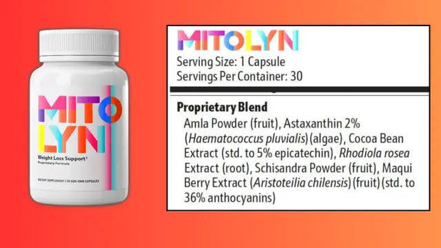 Mitolyn Supplement Safety Facts