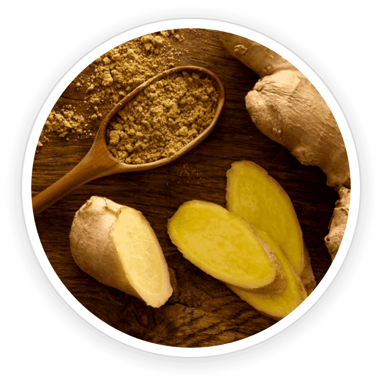 PrimeBiome Reviews. Buy Online Today On Dicount From Website. 10 Organic Ceylon Ginger