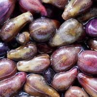 grape