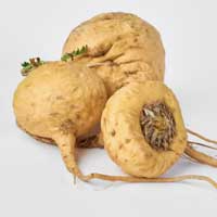 maca