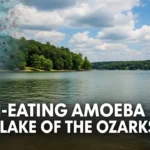 Brain-Eating Amoeba Ozarks