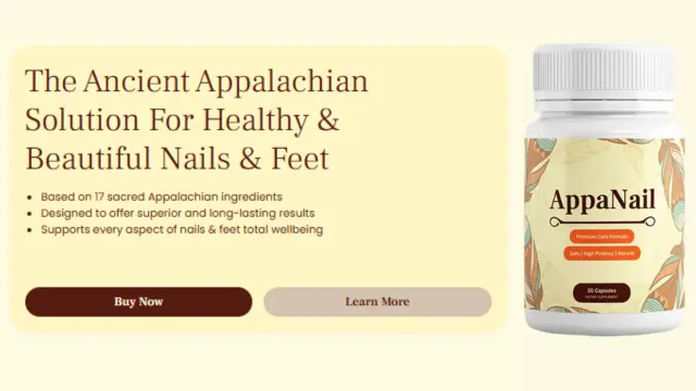 How Appanail Works