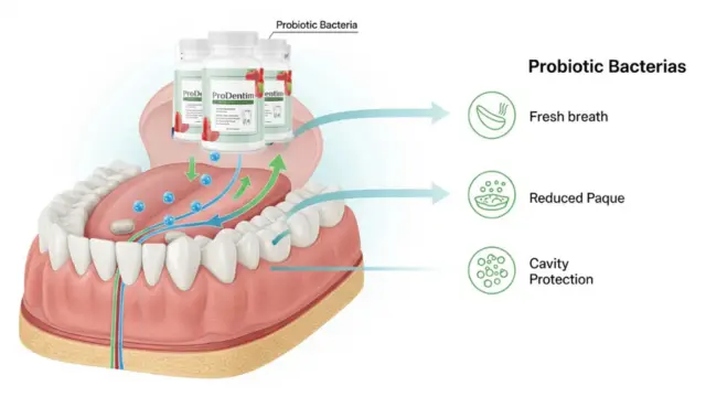 How Prodentim Works