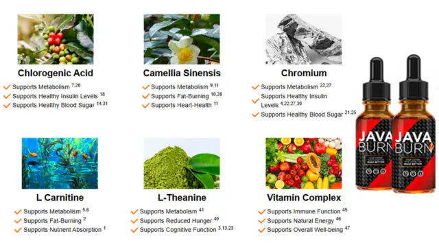 Java Burn Ingredients