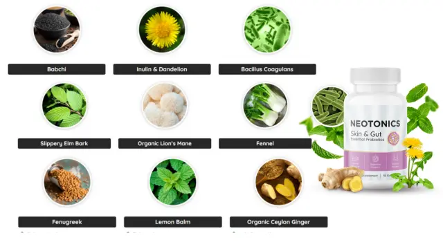 Neotonics Ingredients List