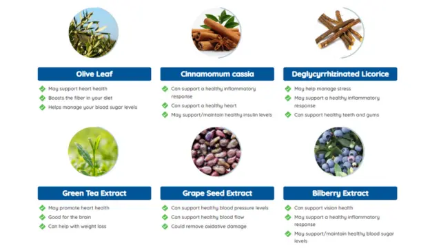 Neuro Surge Brain Health Ingredients