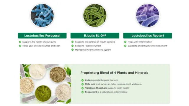 Prodentim Ingredients