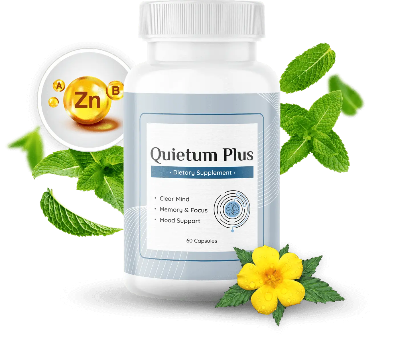 Quietum Plus Hearing Supplement Bottle