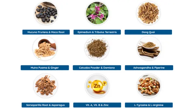 Quietum Plus Ingredients