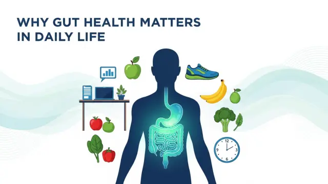 Why Gut Health Matters In Daily Life