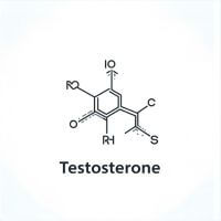 Vigorlong Reviews: Does Gummies Really Work or Another Scam? 3 Testosterone Boost Science
