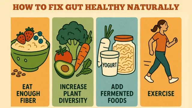 How To Fix Gut Healthy Naturally