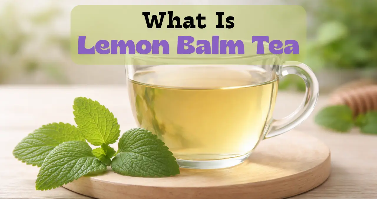 Lemon Balm Tea For Weight Loss. How It Works & How To Make It Properly 1 What Is Lemon Balm Tea