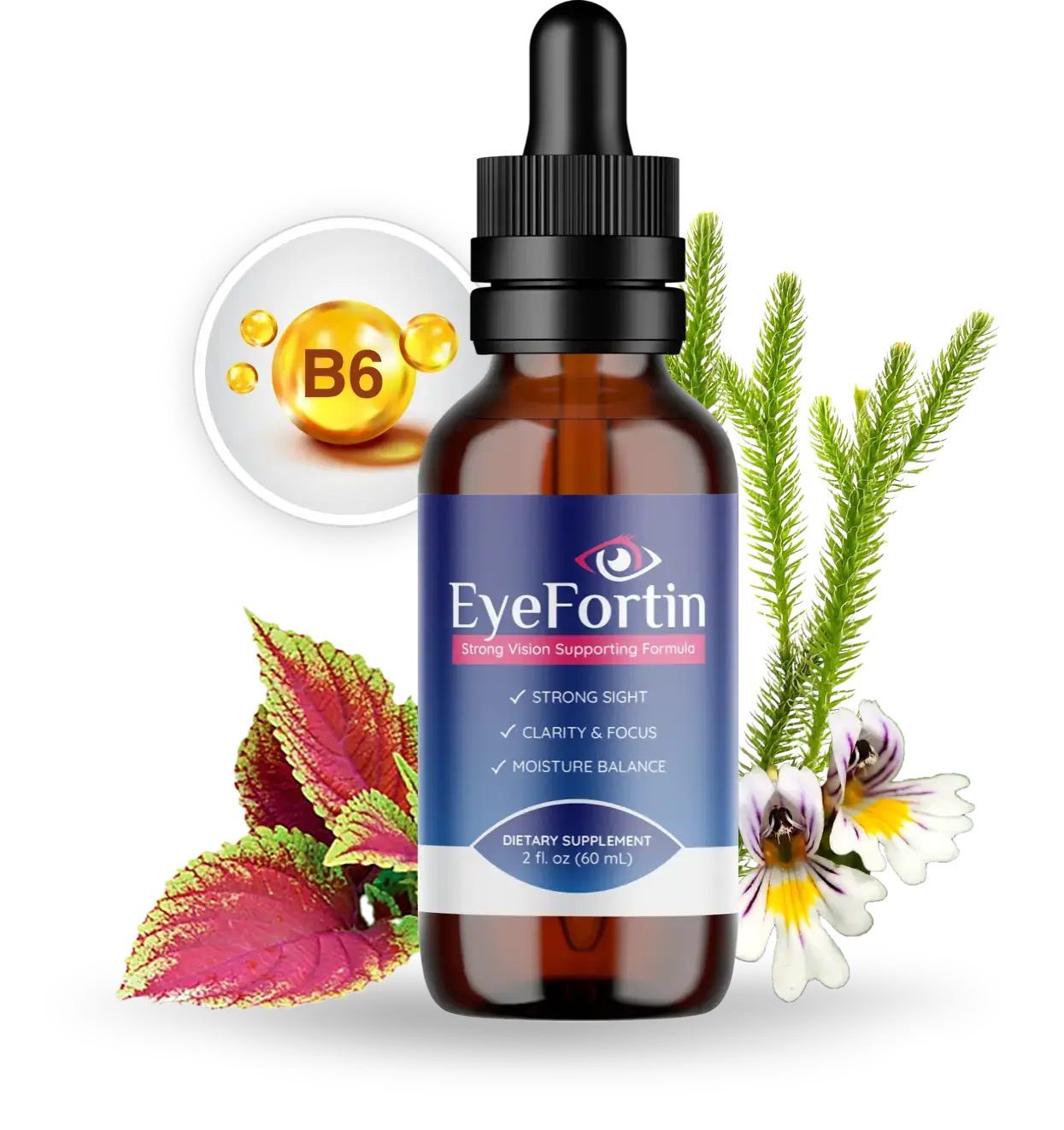 EyeFortin Reviews 2026: Complaints, Benefits, Scam or Legit? 12 EyeFortin Drops Bottle