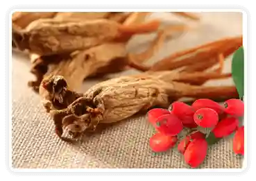 Berberine & Korean Red Ginseng