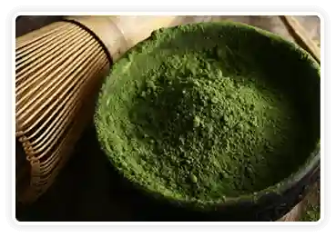 Ceremonial Green Tea