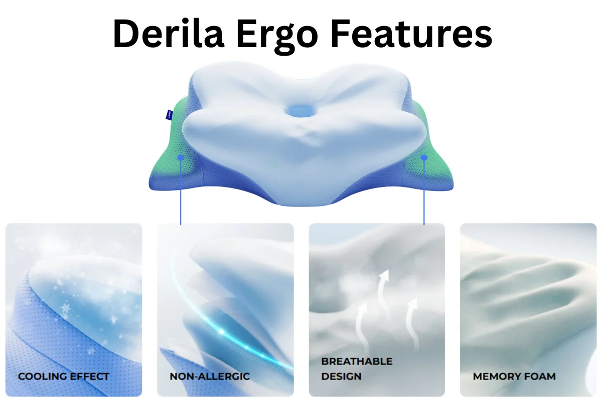 Derila Ergo Features