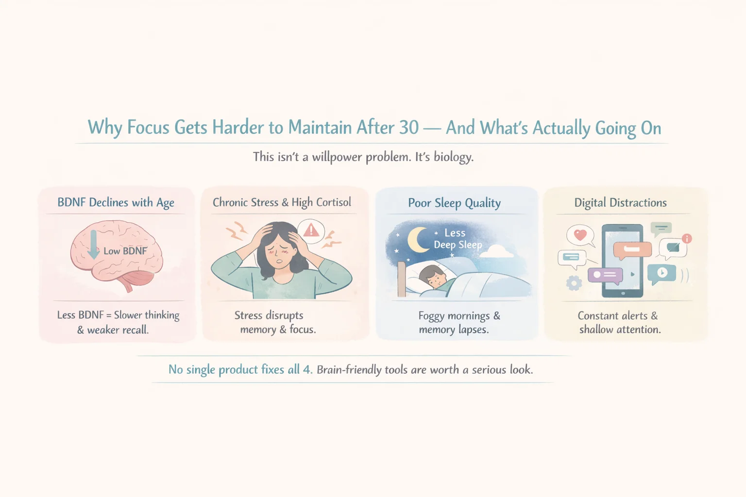 The Brain Song Review 2026 | Real Results or Overhyped? 1 Mental Focus And Age