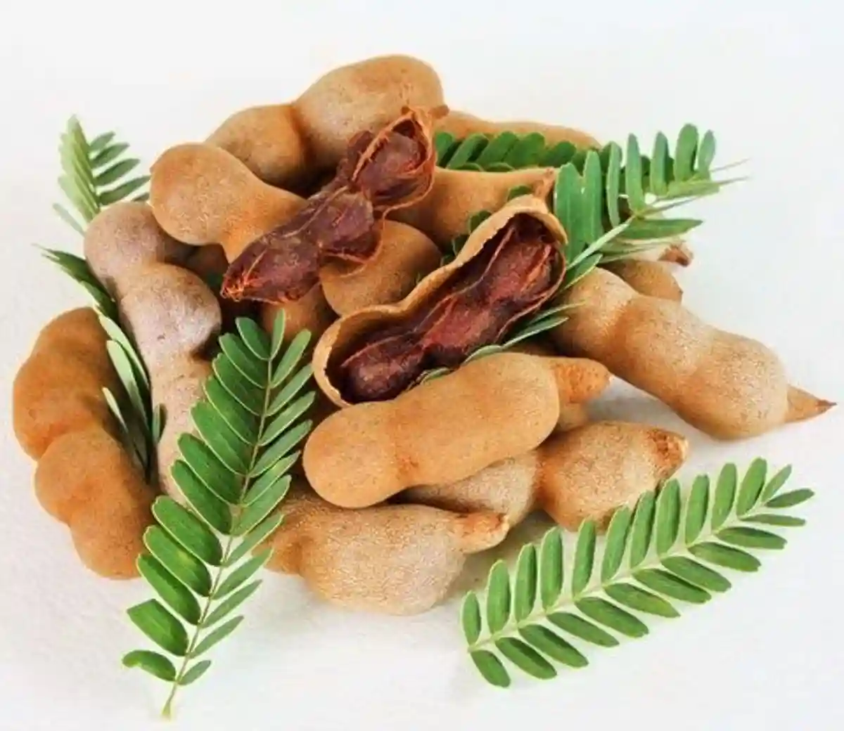 Neuro Prime Reviews 2026: Is Brain Supplement Scam or Legit? 4 Tamarind (Tamarindus indica)