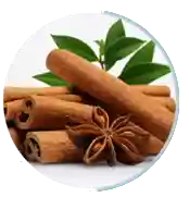 Cinnamomum Cassia ingredient in Neuro Surge