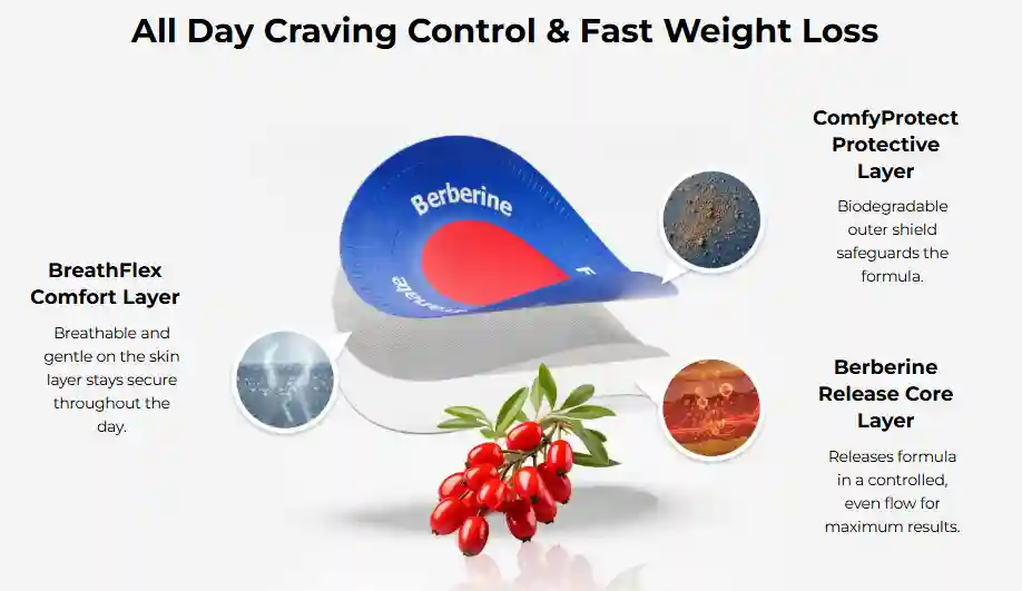 How Does Purisaki Works