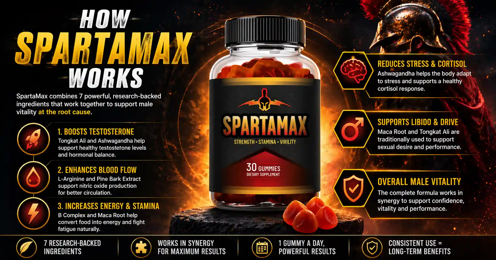How Does The Spartamax Work