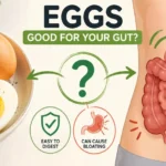 Are Eggs Good for Gut Health