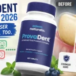 Provadent Reviews 2026 update with complaints analyzed