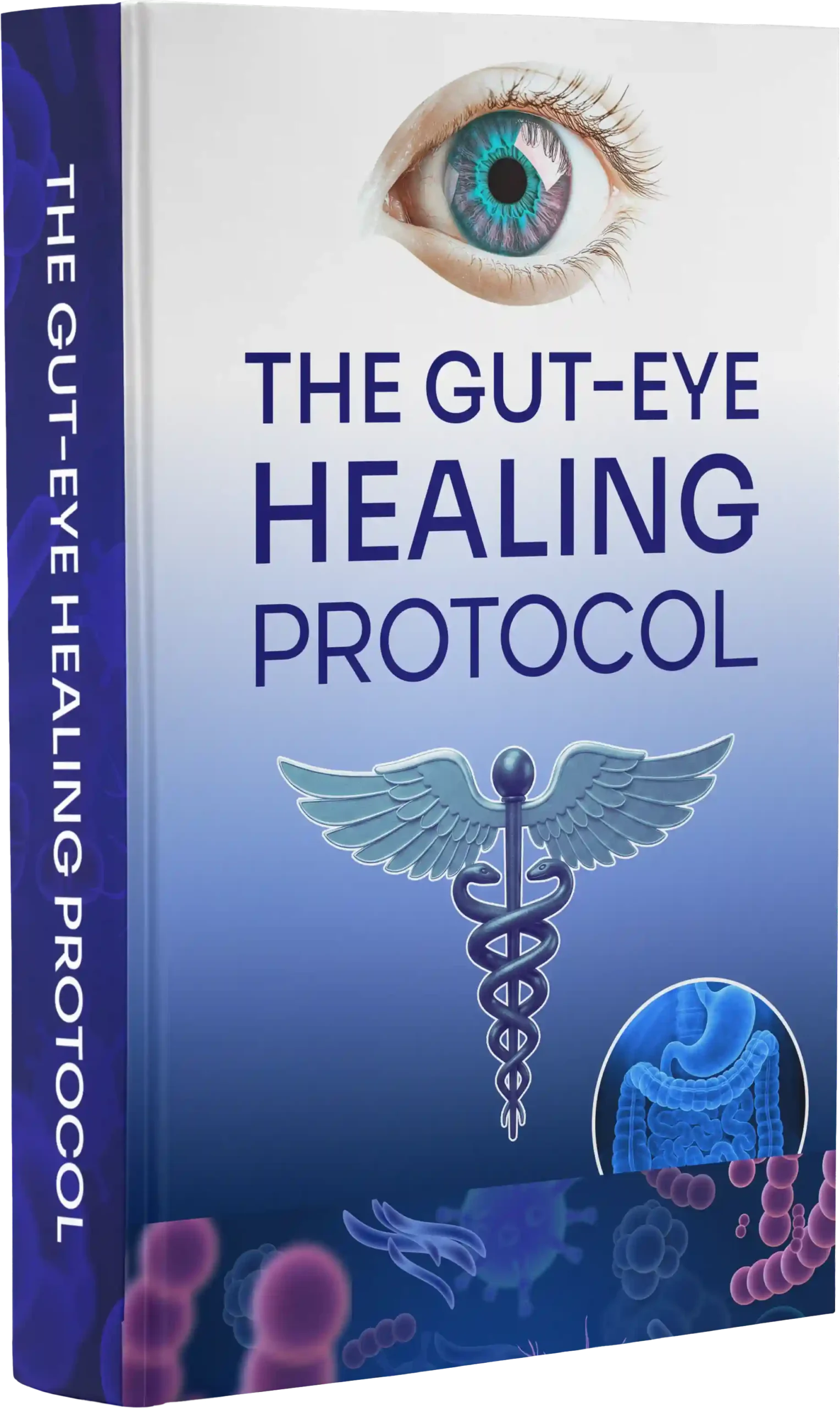 The Gut-Eye Healing Protocol — free bonus ebook