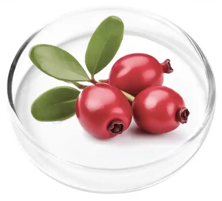 FemiCore Reviews 2026: Does It Actually Stop Bladder Leaks? 4 Bearberry