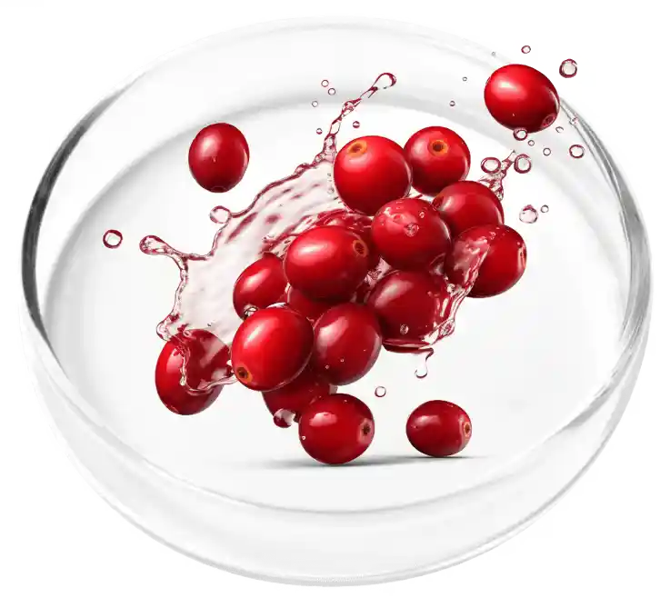 FemiCore Reviews 2026: Does It Actually Stop Bladder Leaks? 3 Cranberry Extract