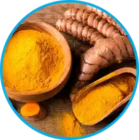 Himalayan turmeric curcumin - reduces inflammation linked to leptin resistance