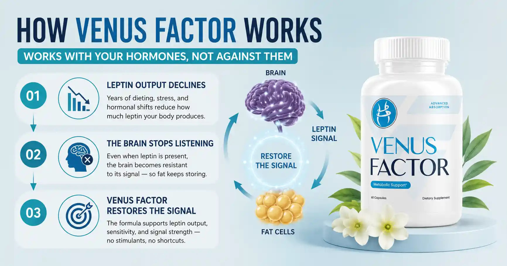 How Venus Factor Works