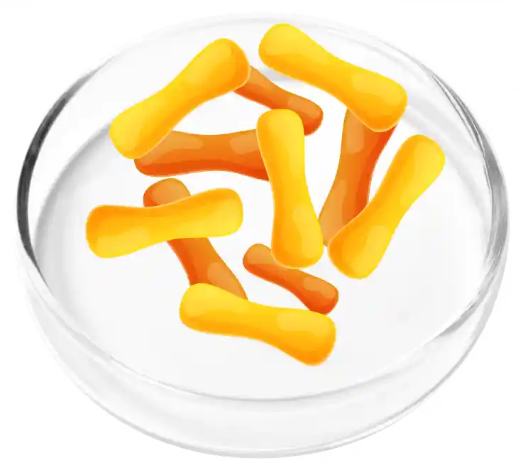 FemiCore Reviews 2026: Does It Actually Stop Bladder Leaks? 10 Lactobacillus Cassei