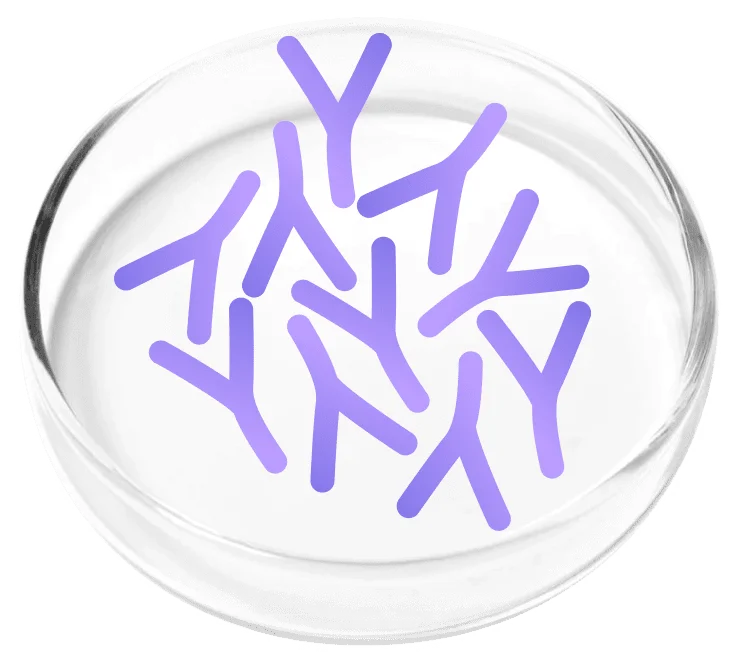 FemiCore Reviews 2026: Does It Actually Stop Bladder Leaks? 8 Lactobacillus Plantarum