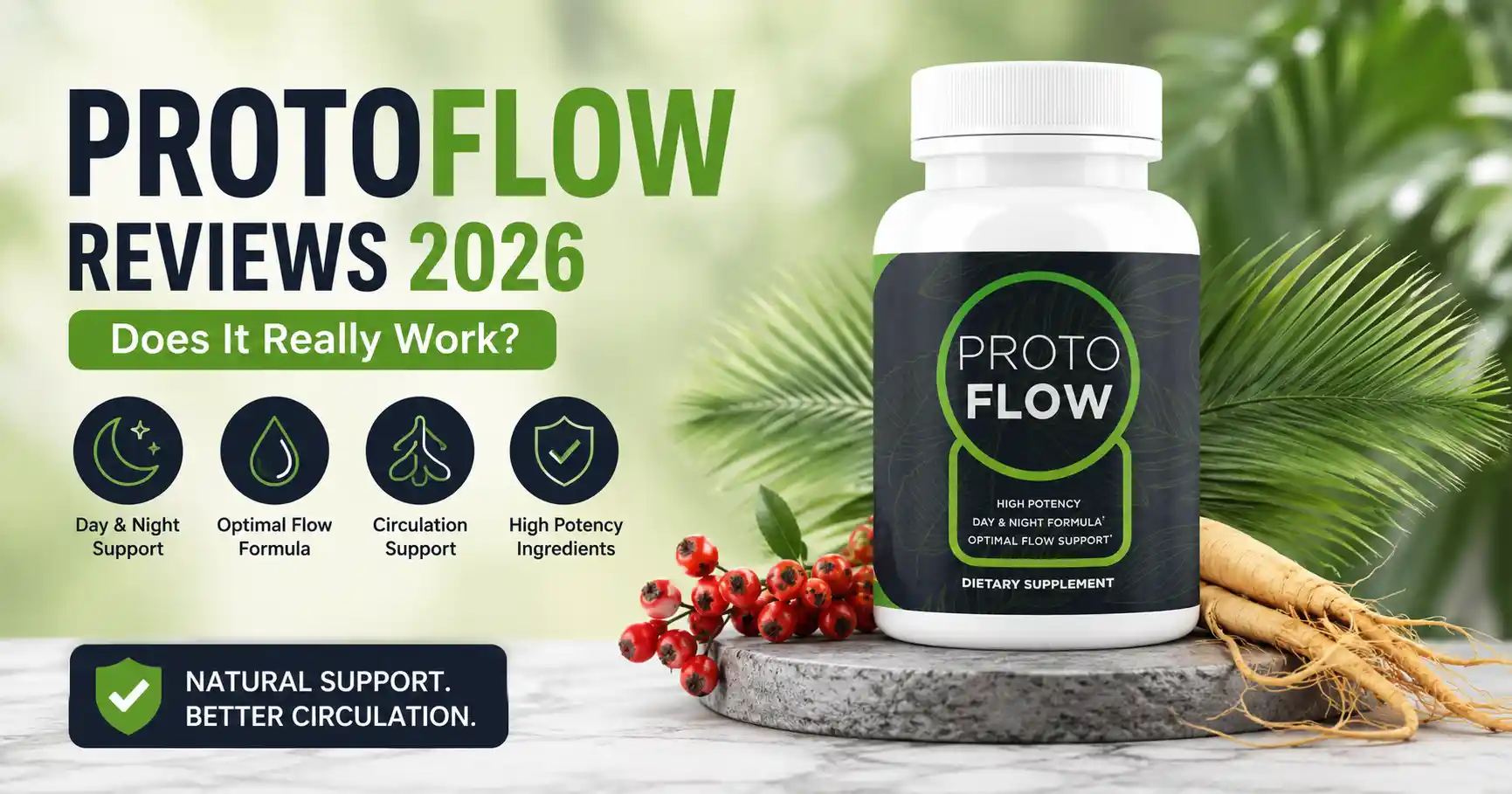 ProtoFlow Reviews