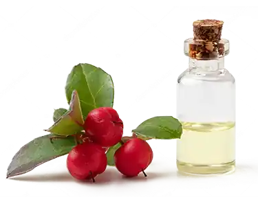 Wintergreen Oil