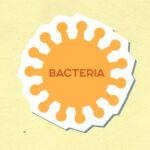 how do you know if you have a bacterial infection