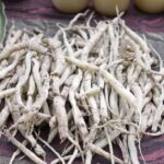 is baikar roots are best for blood pressure