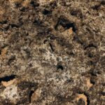 what are igneous intrusions and how do they form