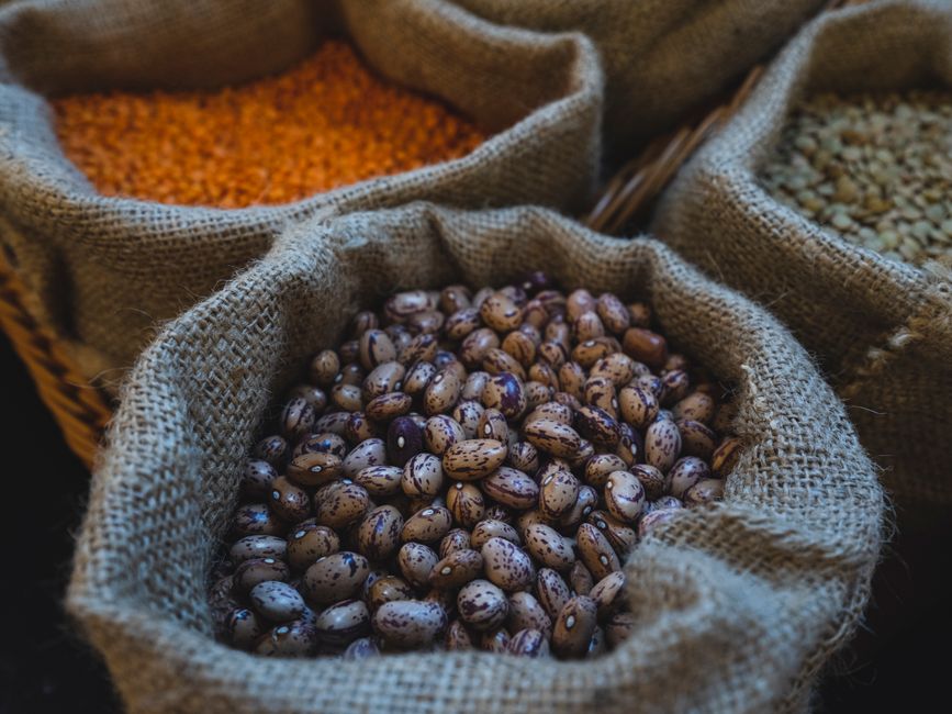what foods are good sources of iron