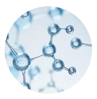 Nerve Armor Reviews 2026: Does It Work for Nerve Pain Or Not 14 Alpha Lipoic Acid (ALA)