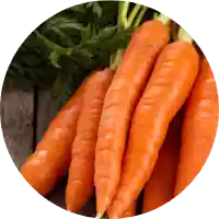 Beta Carotene, Huperzine A, and Bacopa