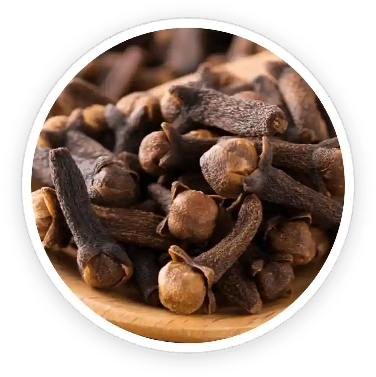 TerraCalm Reviews. Improves Nail Health Or A Marketing Scam? 23 Clove Bud Oil